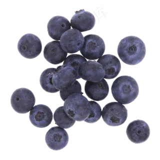 蓝莓鲜果