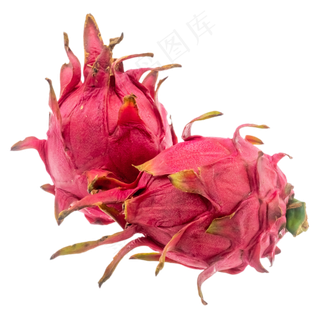 红色红心火龙果