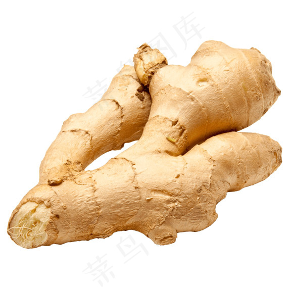 生姜 蔬菜psd模版下载