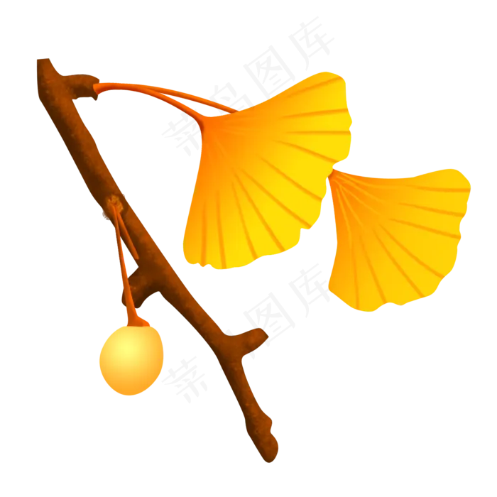 黄色的银杏树叶(2000X2000(DPI:300))psd模版下载