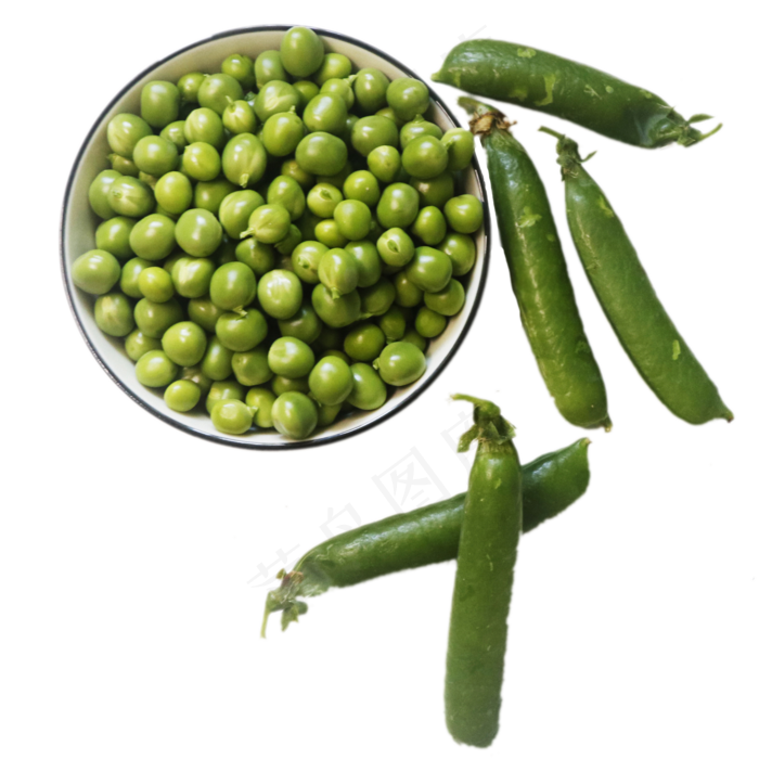 绿色豌豆实物