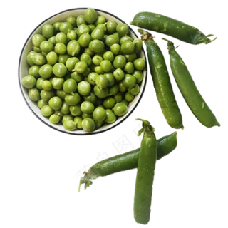 绿色豌豆实物