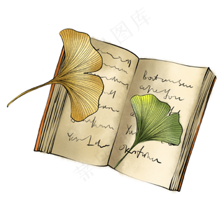 节气立秋书本银杏