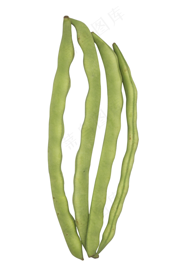 绿色蔬菜豆角(2000*3000px 300 dpi )