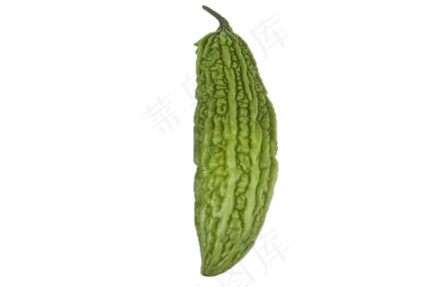 纯绿色食品美味苦瓜