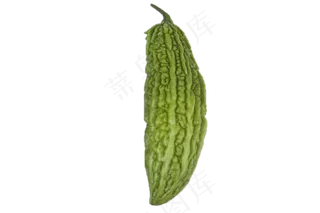 纯绿色食品美味苦瓜