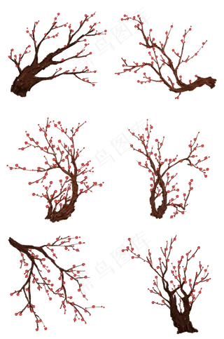 梅花组图PNG免抠图