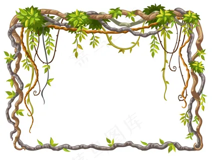 藤本植物枝和热带叶的框架