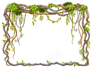 藤本植物枝和热带叶的框架