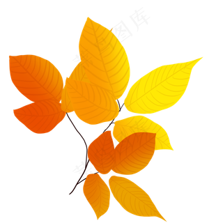 秋叶落叶秋天红叶可商用手绘叶子
