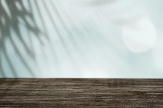 带热带叶影的空白空间