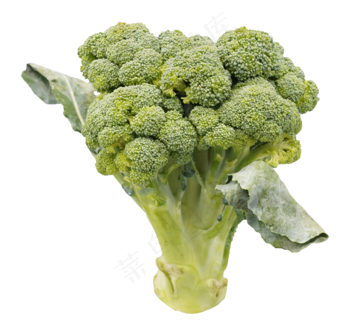 绿色营养西兰花(2088*2000px 300 dpi )