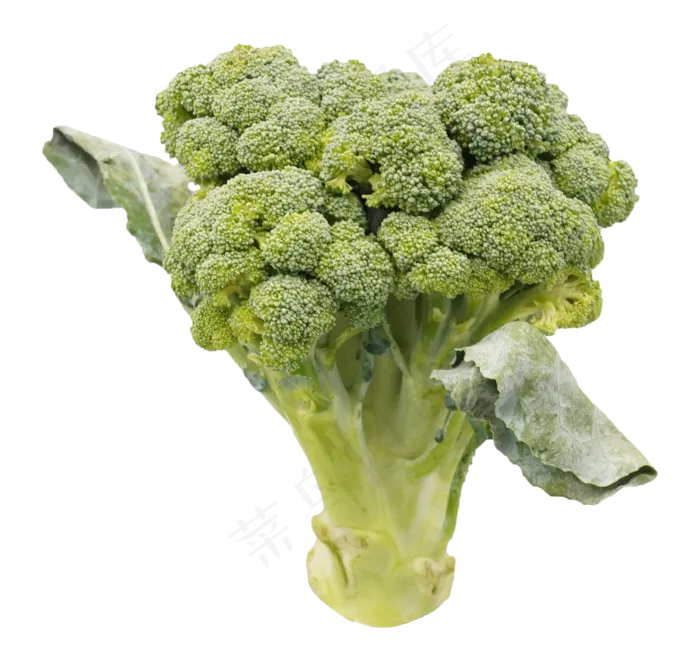 绿色营养西兰花(2088*2000px 300 dpi )