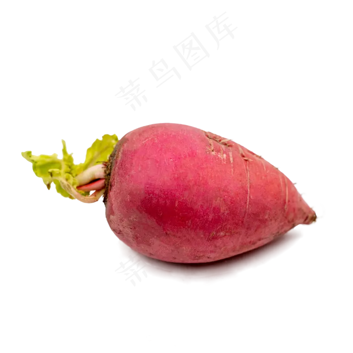 红萝卜蔬菜实物拍摄(2000X2000(DPI:300))