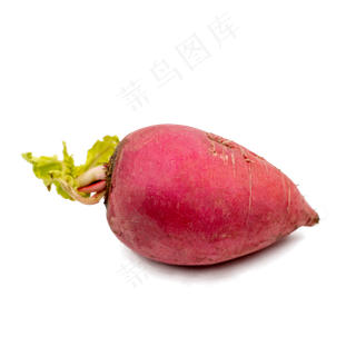 红萝卜蔬菜实物拍摄