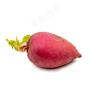 红萝卜蔬菜实物拍摄