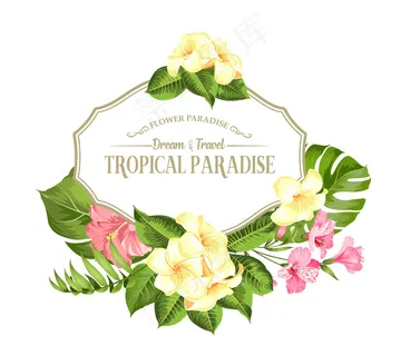 热带花架，用于放置文本。白色背景上的棕榈、木槿和怪兽。