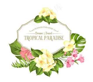 热带花架，用于放置文本。白色背景上的棕榈、木槿和怪兽。