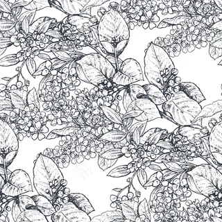 矢量无缝图案,由手绘花朵、盛开的树枝组成。美丽的黑白素描花卉无尽的背景。 矢量无缝图案,由手绘花朵、盛开的树枝组成。美丽的黑白素描花卉无尽的背景。