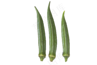 美味鲜美佳肴秋葵