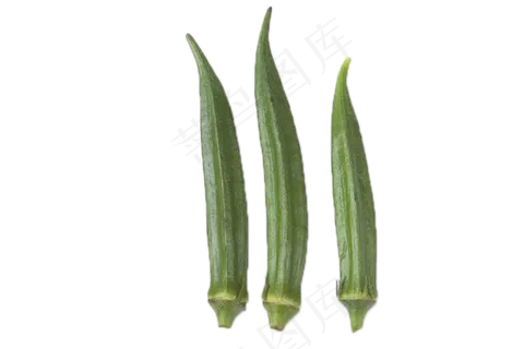 美味鲜美佳肴秋葵 美味鲜美佳肴秋葵