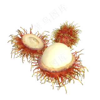 立体水果红毛丹