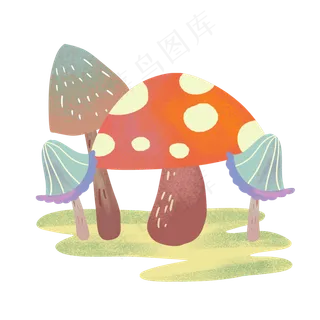 秋分蘑菇菌类蔬菜