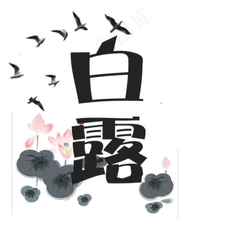 创意白露菜鸟图库原创艺术字