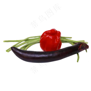 茄子灯笼椒长豆角
