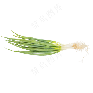 调料蔬菜小葱