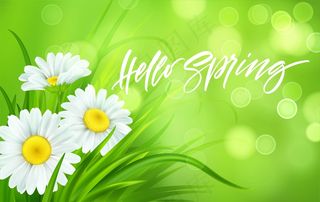 春天的背景是雏菊和新鲜的绿草。你好春天手写字母。插图