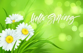 春天的背景是雏菊和新鲜的绿草。你好春天手写字母。插图