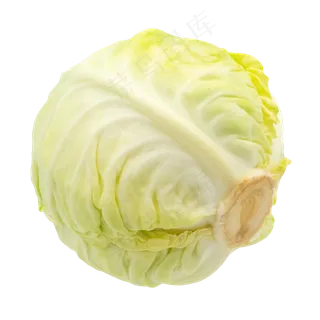 一棵包菜 一棵包菜