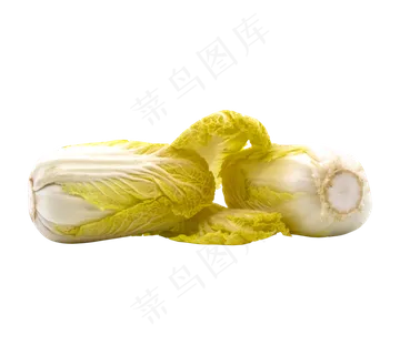 两颗蔬菜白菜
