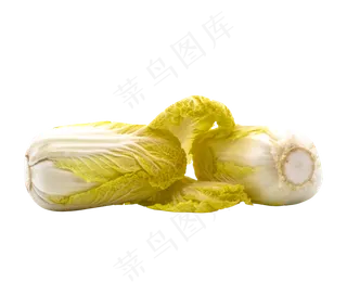 两颗蔬菜白菜