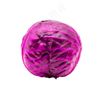 蔬菜食材紫甘蓝