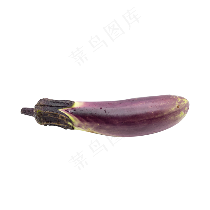 有机蔬菜茄子(1725X2000(DPI:300))
