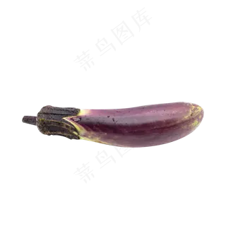有机蔬菜茄子