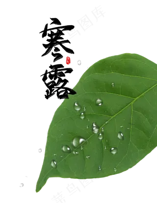 二十四节气寒露