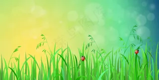 田野里的花草和天空，背景是云