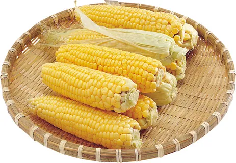 玉米 蔬菜 玉米 蔬菜