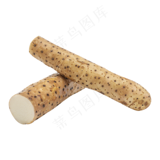 两根食材山药