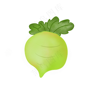 农作物蔬菜萝卜