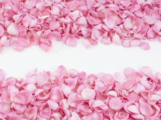 粉红色玫瑰花瓣做的镜框