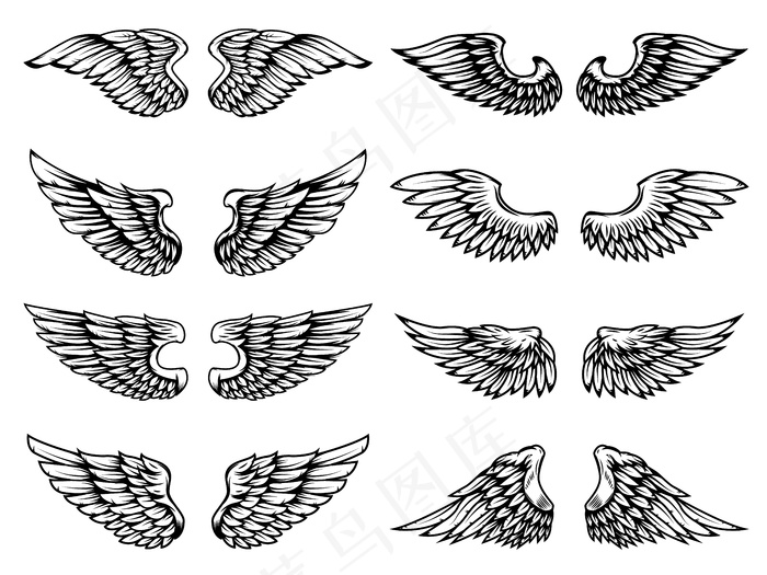 白色背景上的翅膀。标志、标签、徽章、标志、徽章的元素。插图