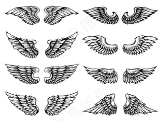 白色背景上的翅膀。标志、标签、徽章、标志、徽章的元素。插图