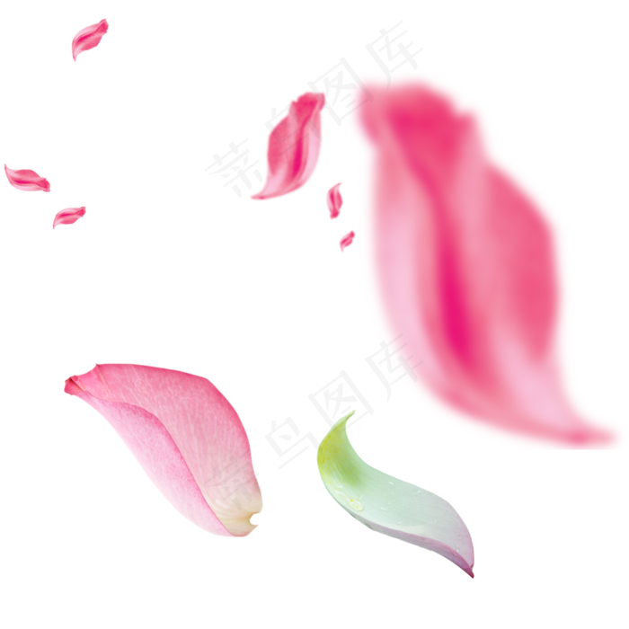 飞舞的花瓣元素