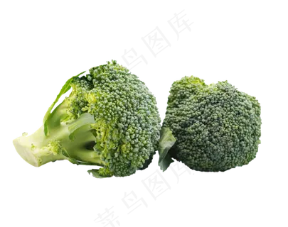 西兰花蔬菜 西兰花蔬菜