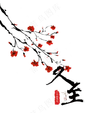 冬至节气梅花雪景