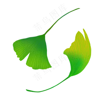 秋天银杏叶绿色仿真